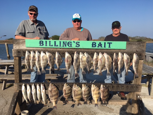 fishing guide corpus christi 