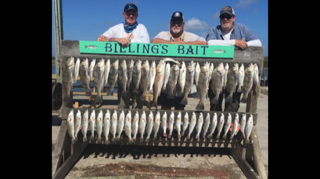 fishing guide corpus christi 
