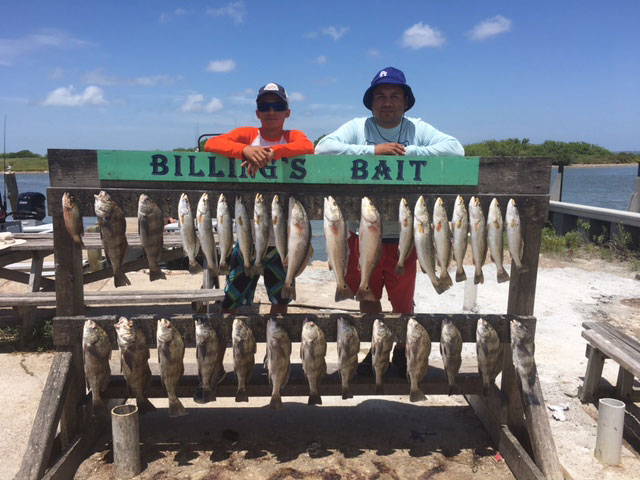 fishing guide corpus christi 