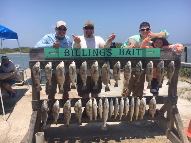 corpus texas fishing guide  