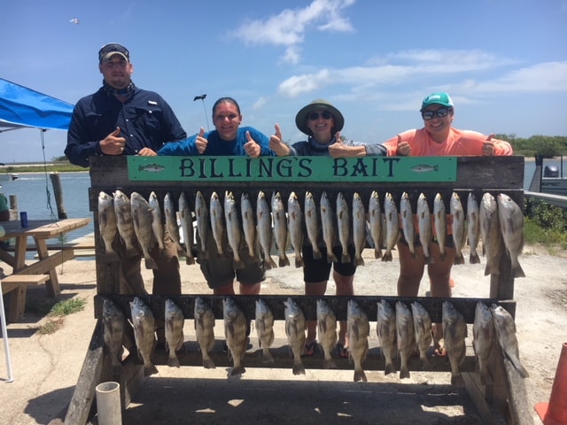 corpus christi fishing guide  